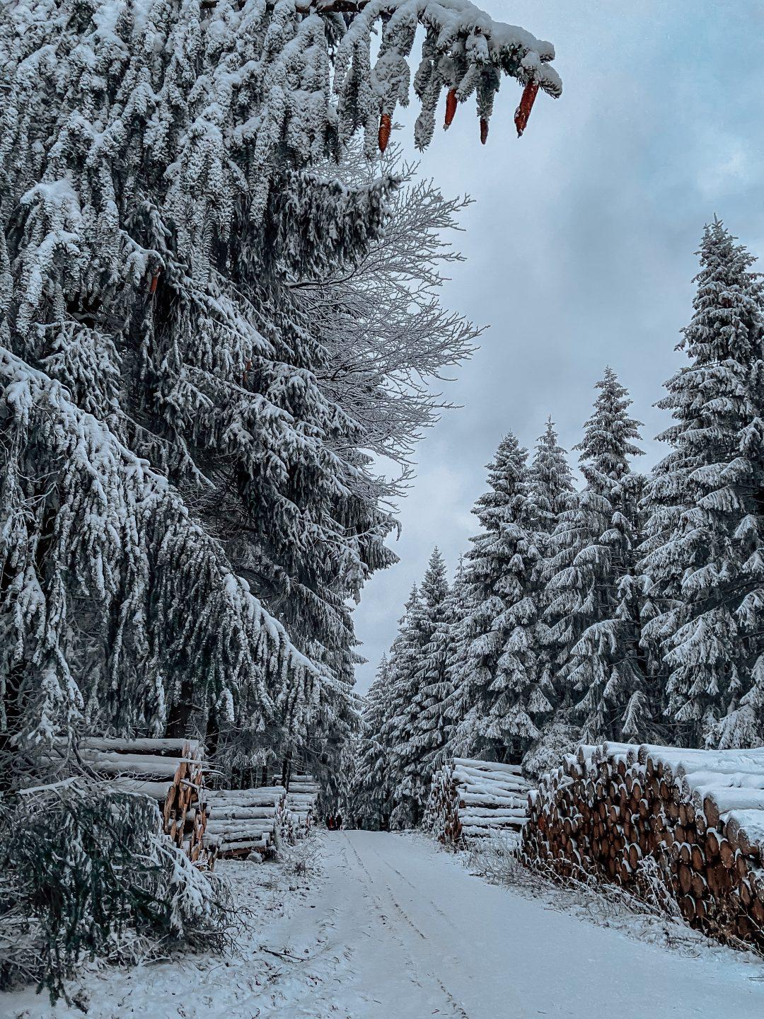 let it snow