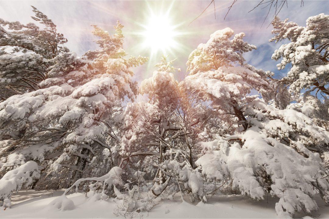 Slowness and Light