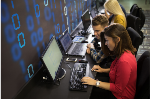 IT professionals at work