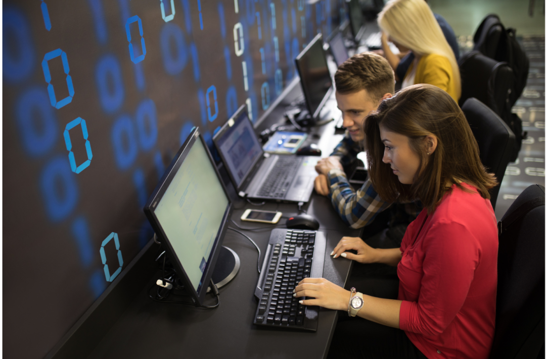 IT professionals at work