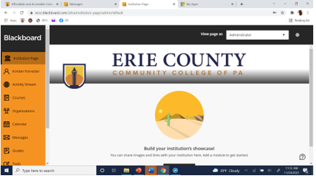 blackboard interface